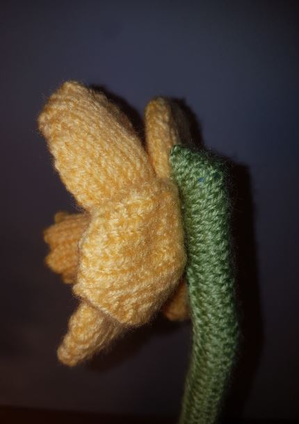 Daffodil Knitting Pattern PDF Download - Fitting in Knitting
