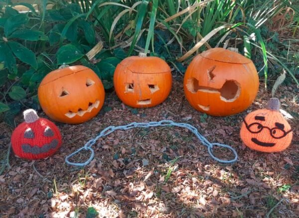 Pumpkin Knitting Pattern PDF Download - Fitting in Knitting