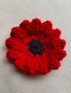 Wavy Edge Poppy Knitting Pattern PDF Download - Fitting in Knitting