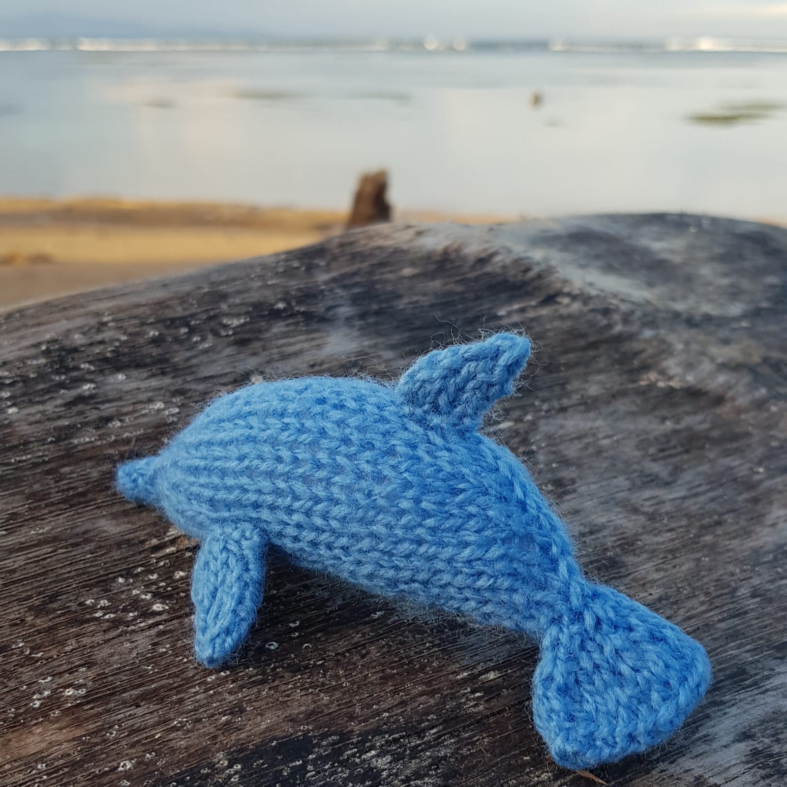 Dolphin Knitting Pattern PDF Download - Fitting in Knitting