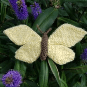 The Knitted Butterfly - Fitting in Knitting