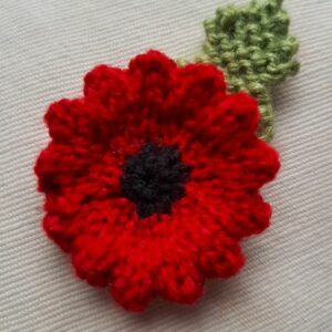 The knitted Poppy – Fitting in Knitting