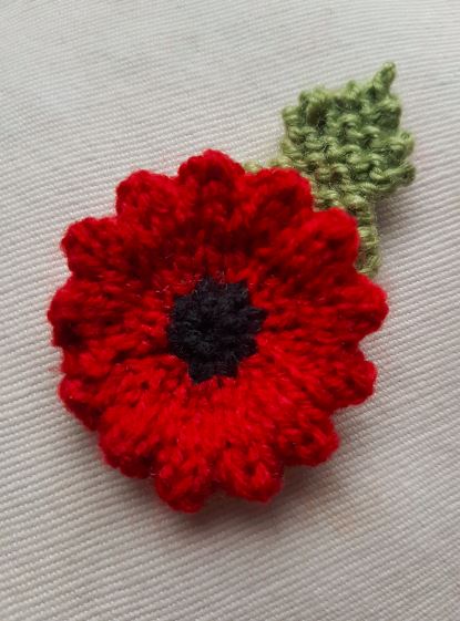 Poppies & Remembrance - Fitting in Knitting