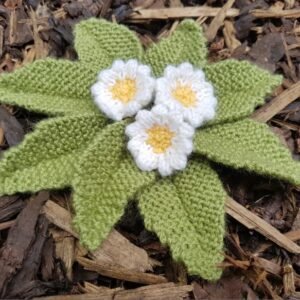 Knitted Primrose - Fitting in Knitting