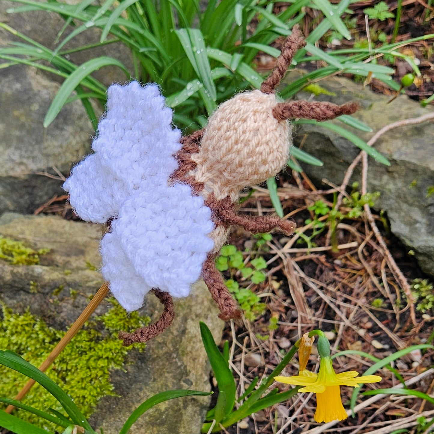 Bee Knitting Pattern PDF Download - Fitting in Knitting