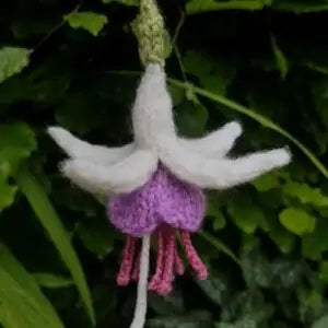 Close-up of a white and purple fuchsia flower with green leaves in the background