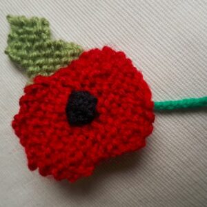 Traditional Poppy Knitting Pattern PDF Download - Fitting in Knitting