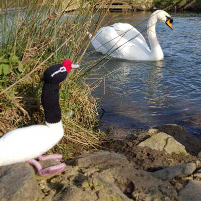 Two swans, one real and one swan toy, on a rocky shore with water and reeds in the background.