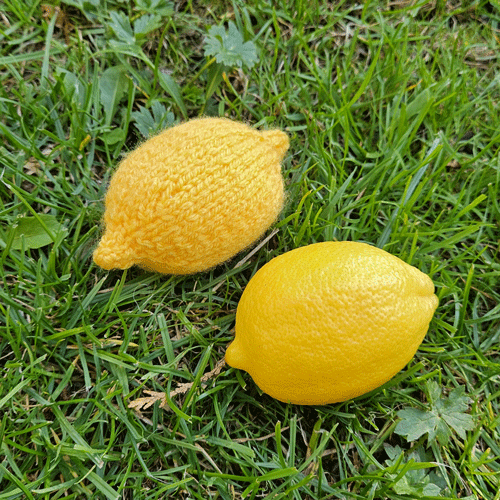 Oranges & Lemons Knitting Pattern PDF Download - Fitting in Knitting