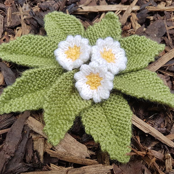 Primrose Knitting Pattern PDF Download