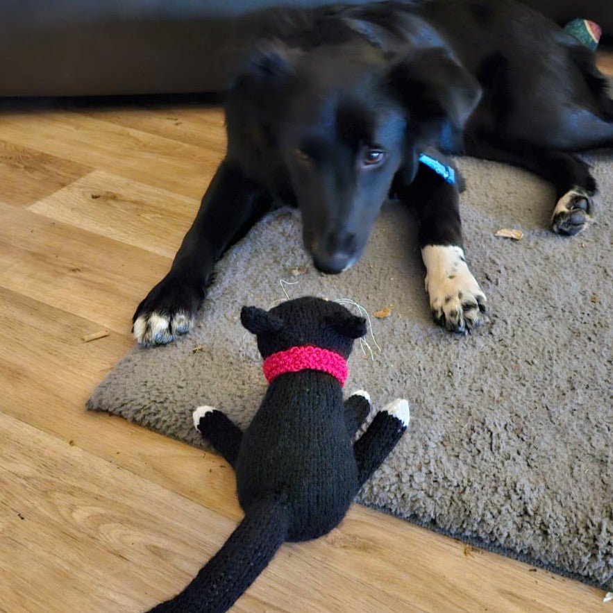 Cat Knitting Pattern PDF Download - Fitting in Knitting