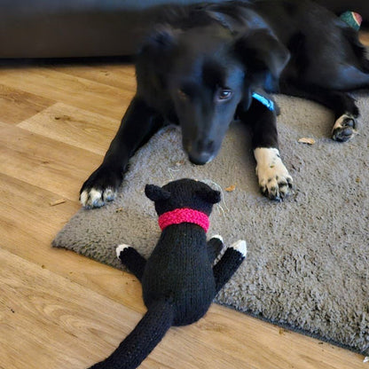 Cat Knitting Pattern PDF Download - Fitting in Knitting