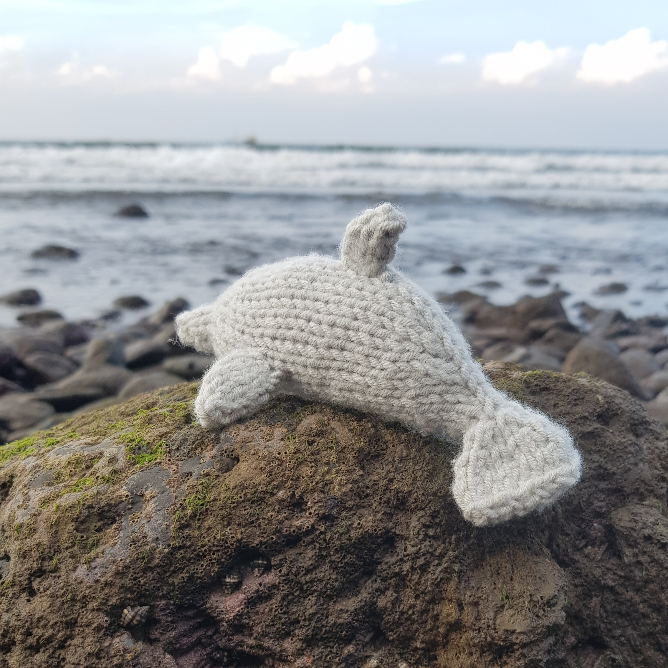 Hand-knitted dolphin soft toy in light grey yarn, posed on a mossy seaside rock with waves behind, made using Fitting in Knitting’s coastal dolphin pattern.