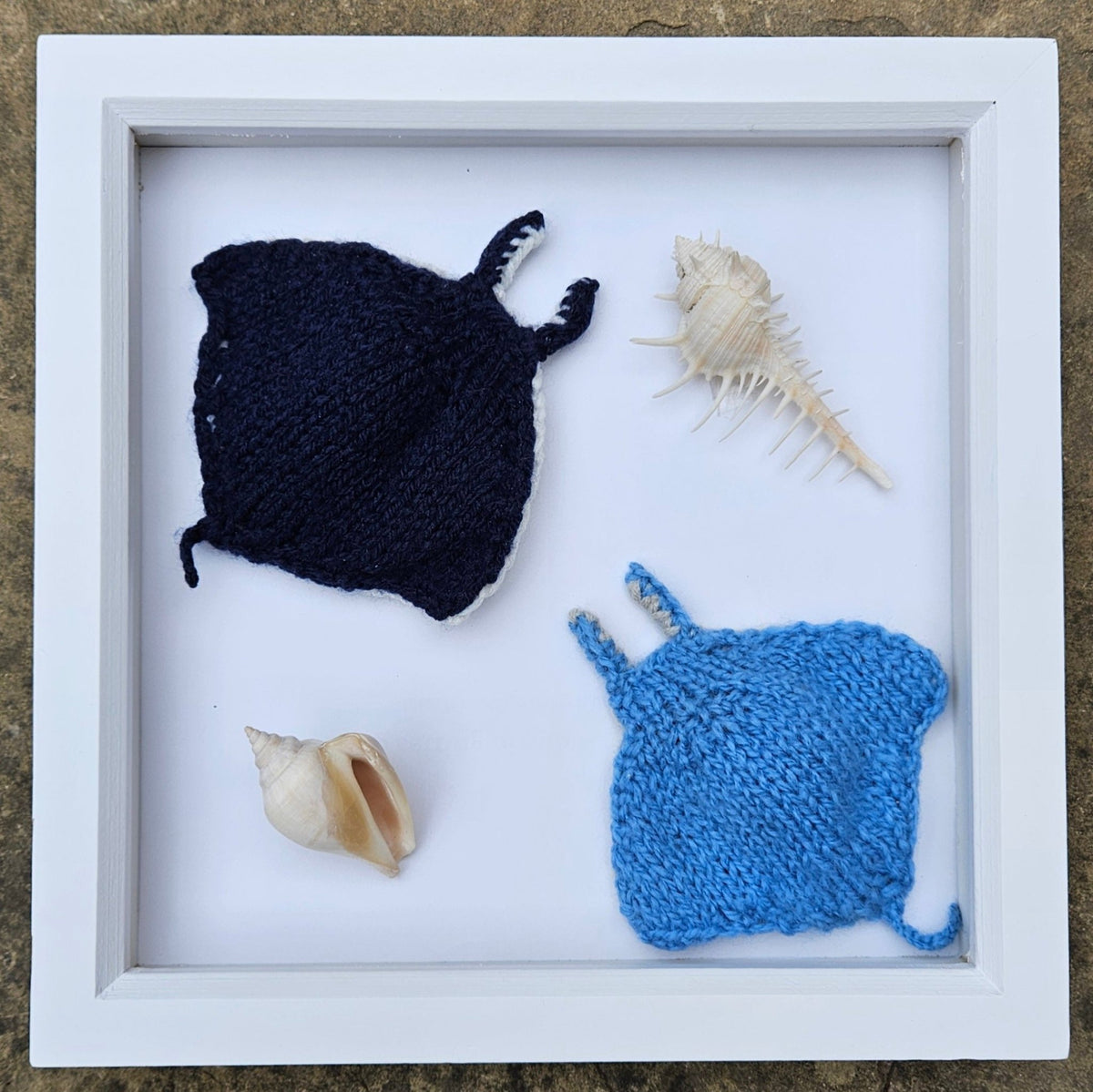 Manta Ray Knitting Pattern PDF Download - Fitting in Knitting
