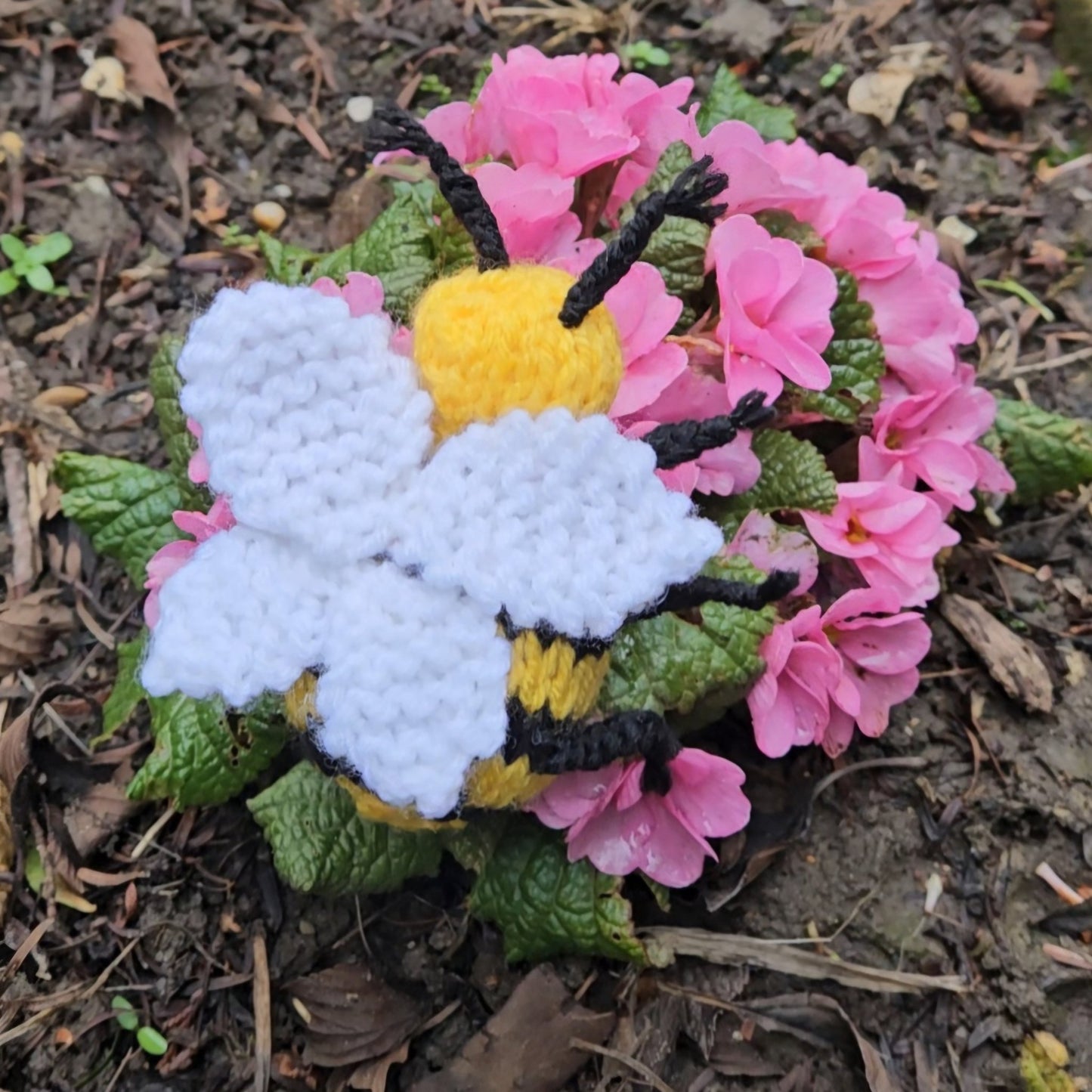 Bee Knitting Pattern PDF Download - Fitting in Knitting