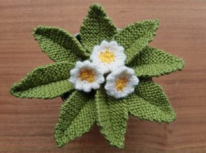 Handmade Knitted Primrose Plant In Pot Fitting in Knitting Children Quick Craft Ideas