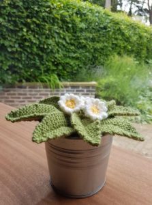 Handmade Knitted Primrose Plant in Pot Finished Fitting in Knitting Children Quick Craft Ideas