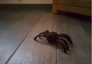 Handmade Knitted Spider Needs Face Fitting in Knitting Children Craft Ideas