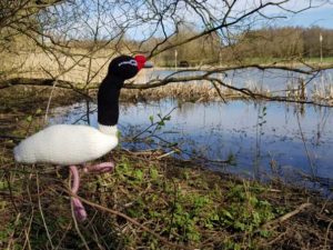 Handmade Knitted Swan View Fitting-in-Knitting