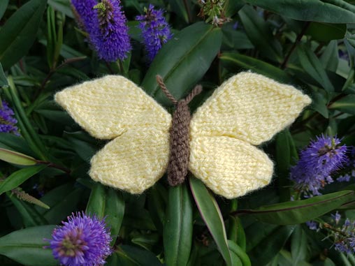 Handmade Knitted Butterfly in Hebe Fitting-in-Knitting